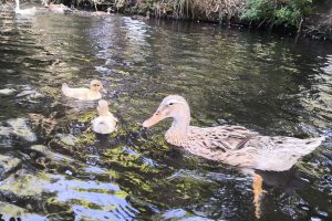 Kopie von IMG_20210219_115510